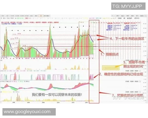 上海足球队总决赛灵活性分析与战术调整的深度探讨